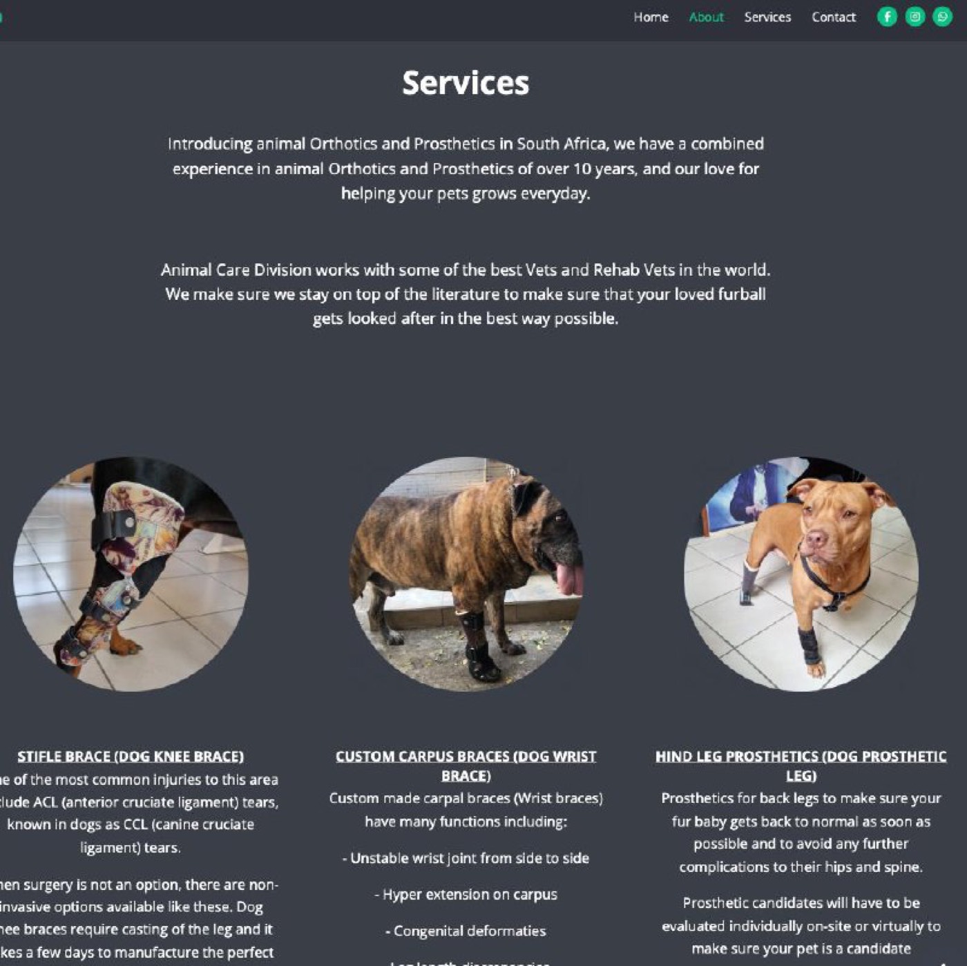 Animal Care website — services section